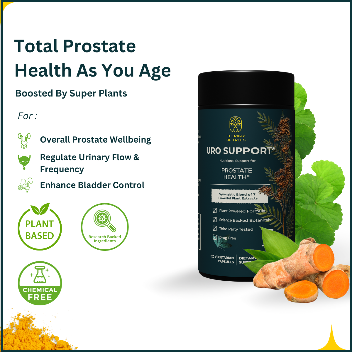 Uro Support: Advanced Support for Prostate Health and Urinary Wellness for Men