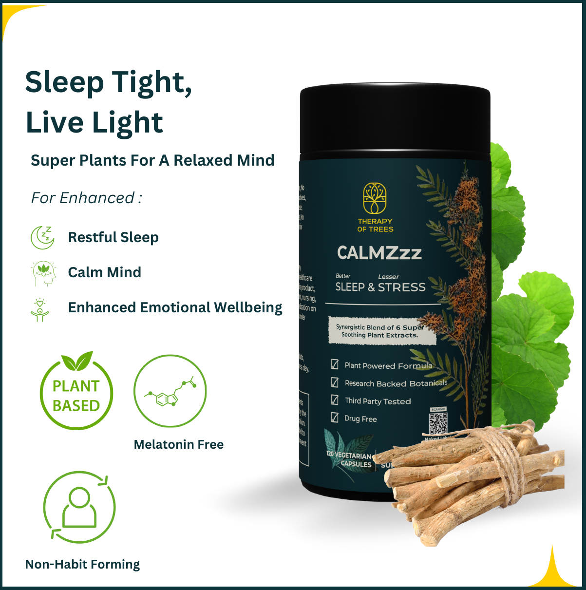 CALMZzz : Sleep and Anxiety Support – Nature's Answer for Rest & Relaxation